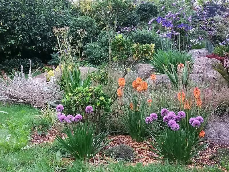 une âme au jardin 