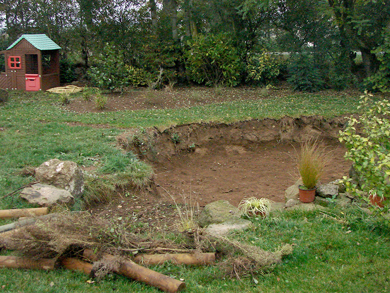 Bassin paysagé avec plantation de végétaux par un paysagiste